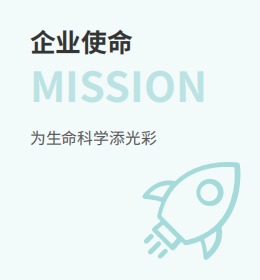 企业使命